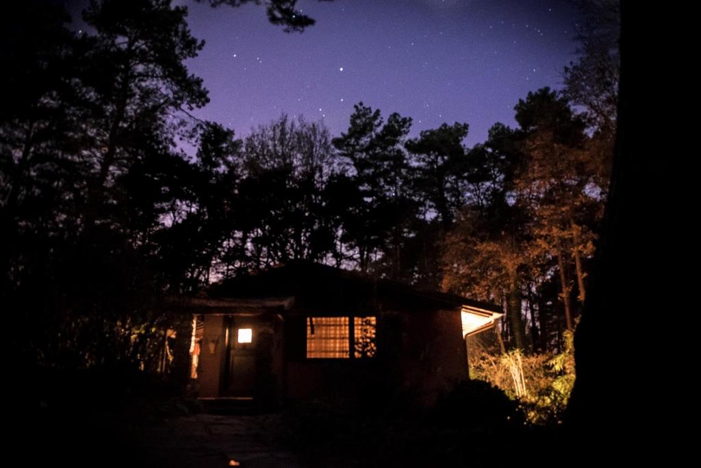 Het boshuisje bij nacht onder de sterren